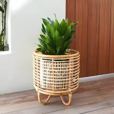 Plant Basket